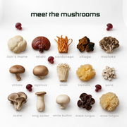 Mushroom Gummies