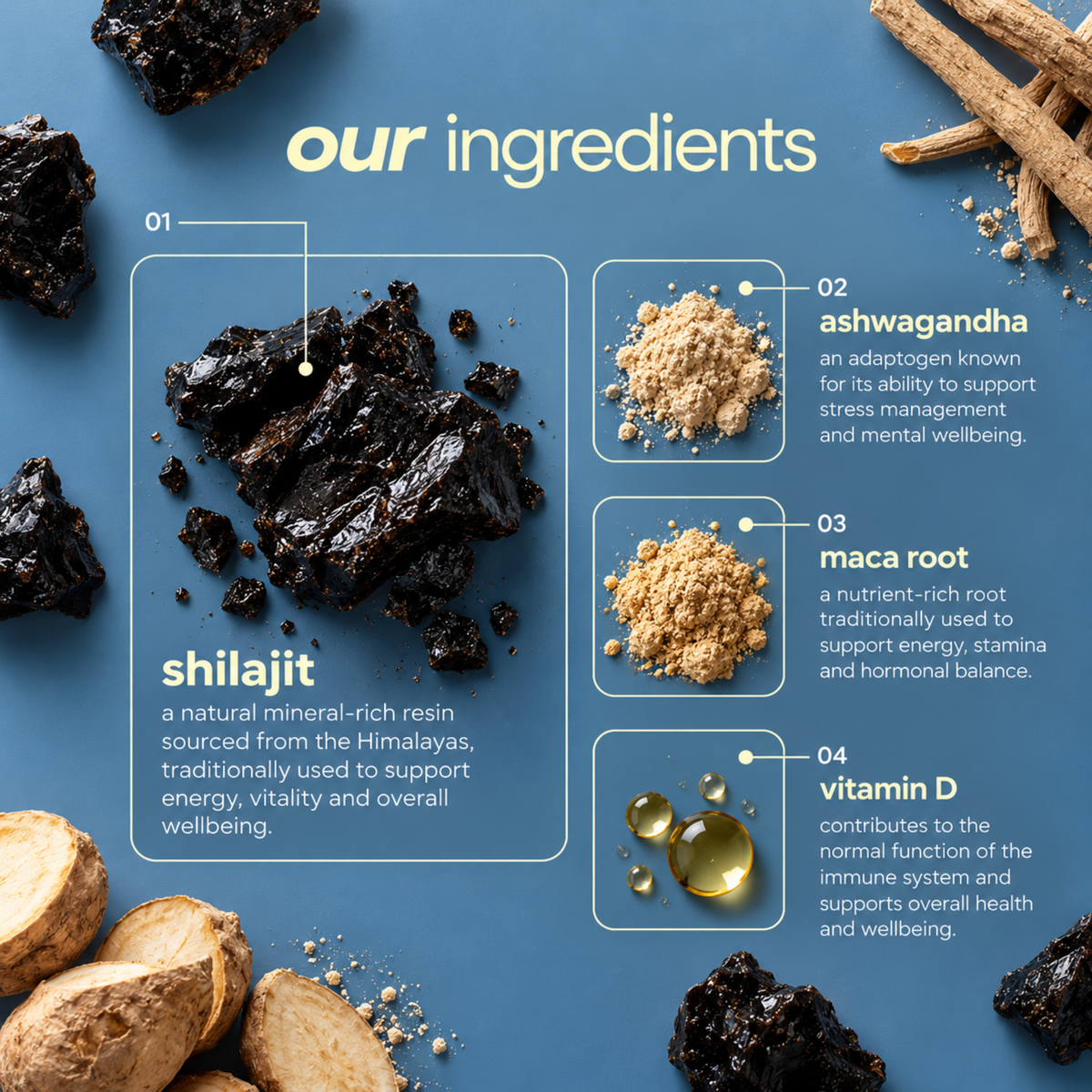 Shilajit Gummies