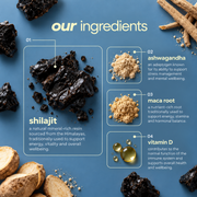 Shilajit Gummies